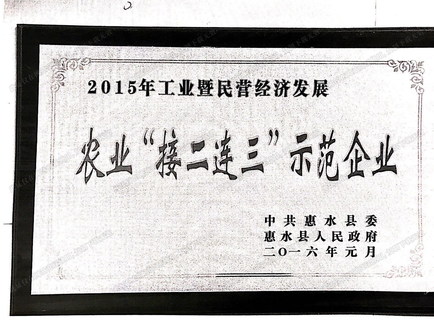 跨越编年史